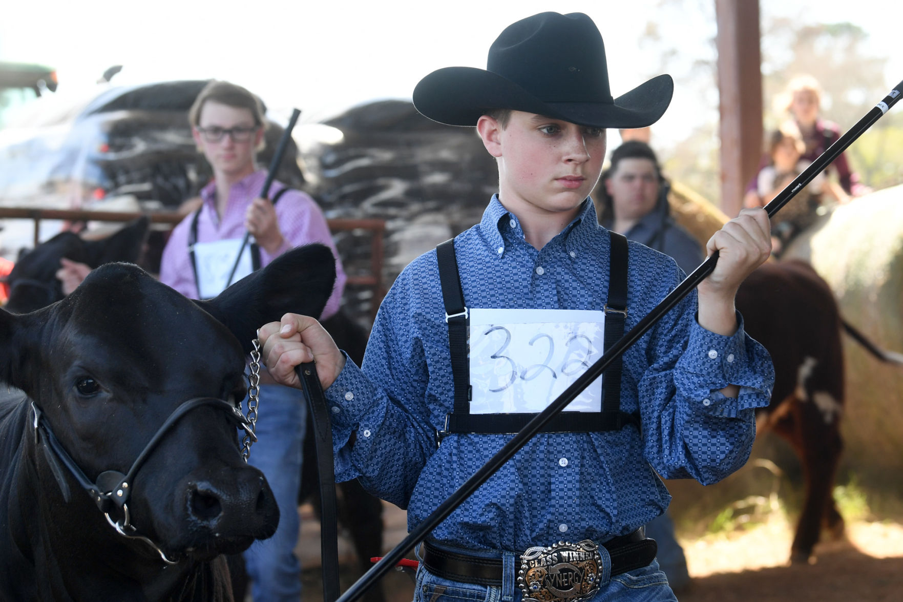 BTHO Coronavirus show